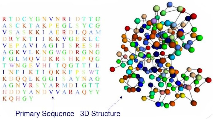 Illustration of mapping between a protein sequence and its 3D structure